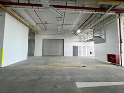 Ct Foodnex (D25), Factory #570009291
